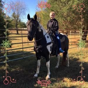 Meet your Posher, Laura